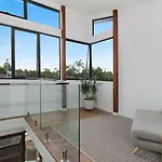 Canopy 1