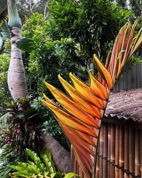 Jungle - Pet-friendly Hot Tub, Firepit & Pool In Beachside Hideaway