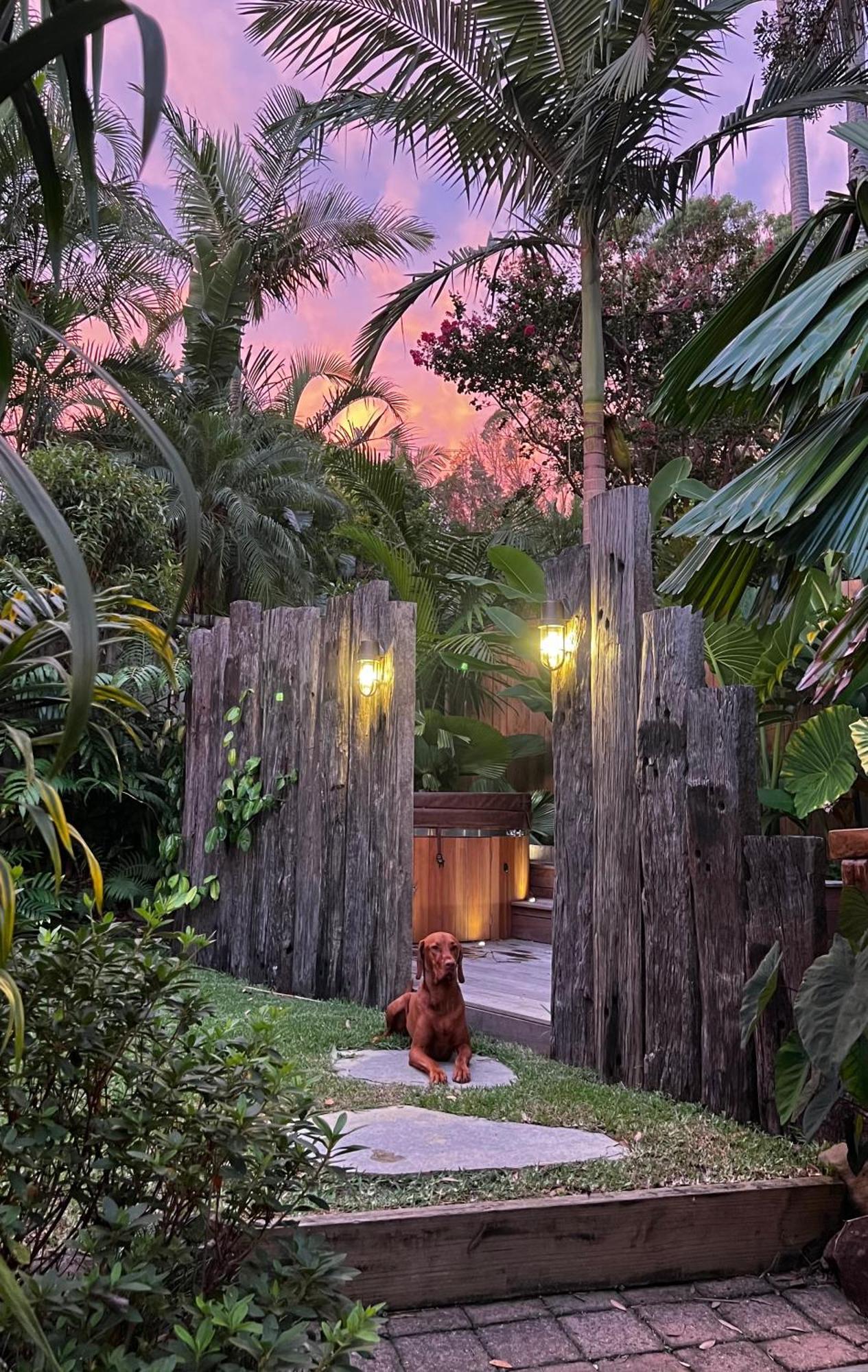 Jungle - Pet-friendly Hot Tub, Firepit & Pool In Beachside Hideaway * Byron Bay