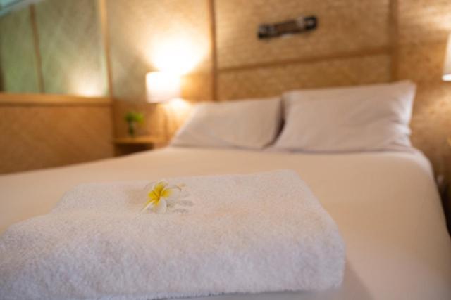 Tallow (adults Only) 3* Byron Bay