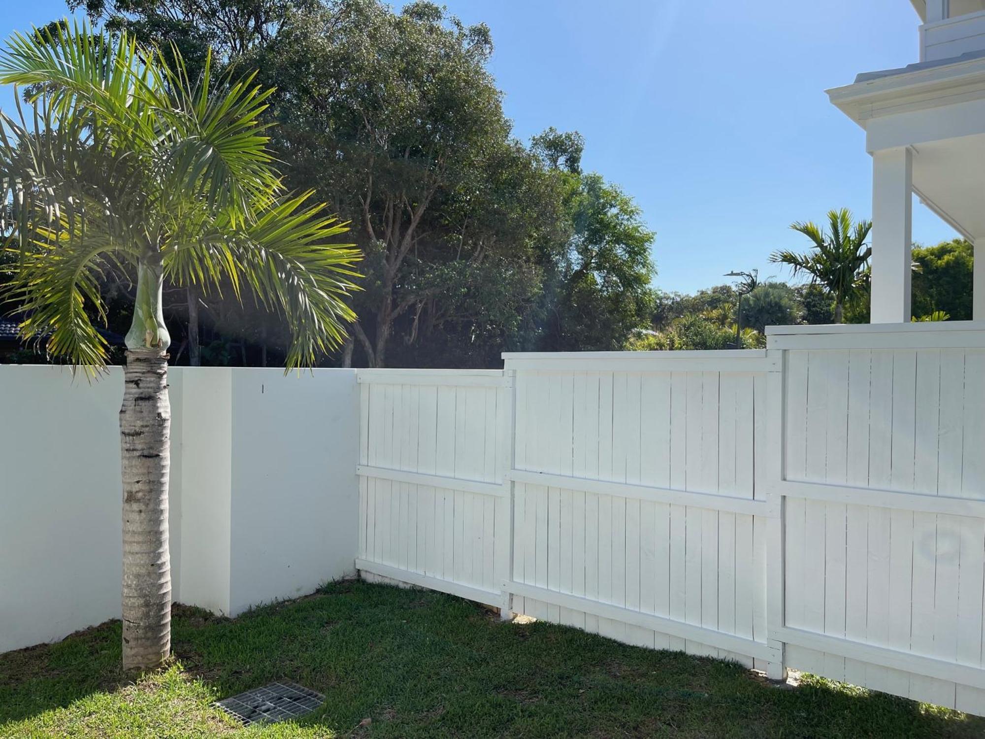 Sunny Palm - Brand New Byron Bay