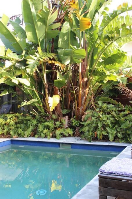 Apartment Cc's @ Byron Self Contained Byron Bay