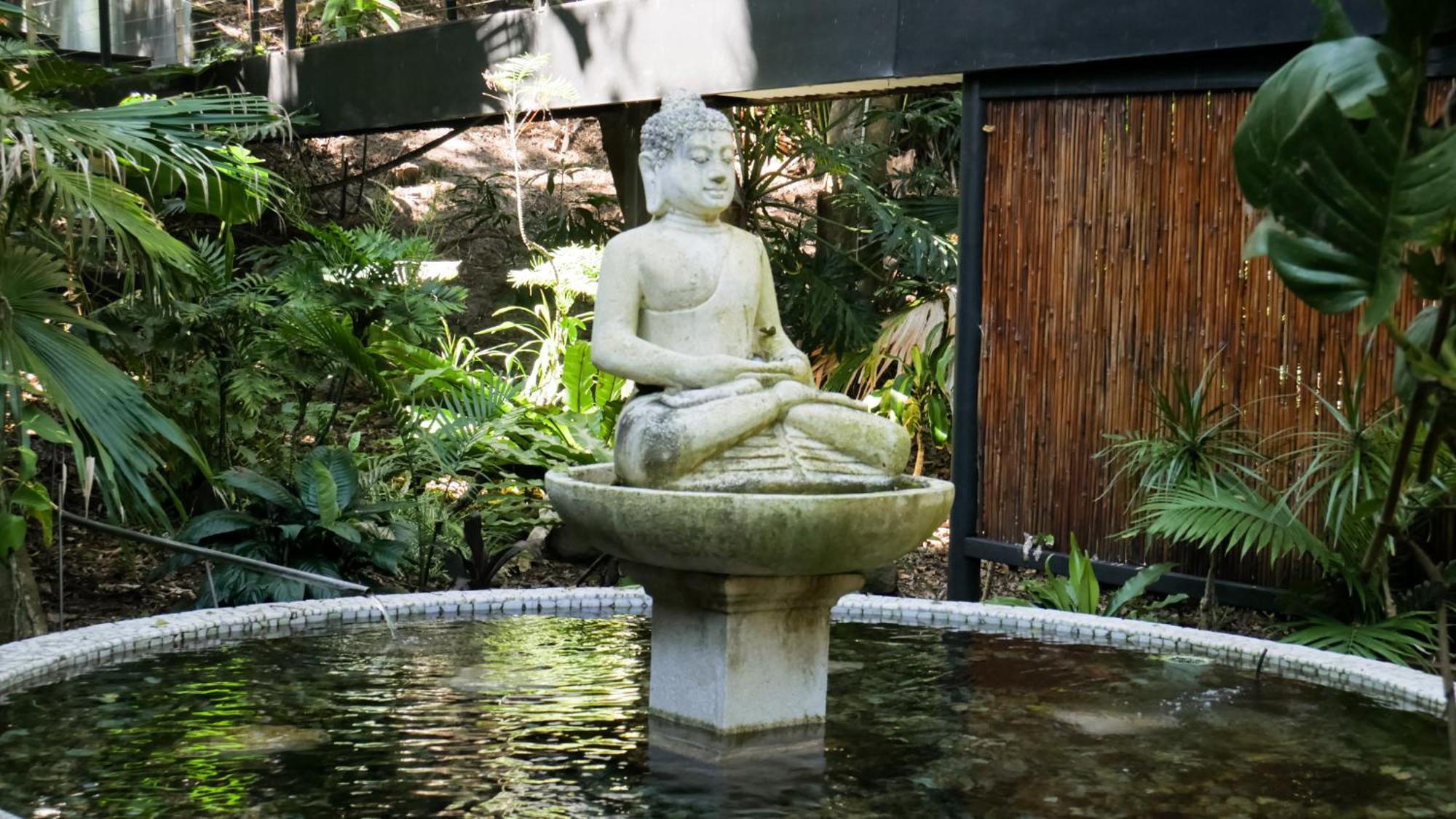 Shambhala @ Byron 5*