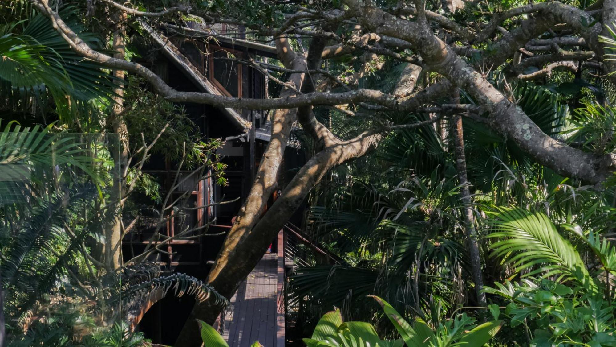 Shambhala @ Byron