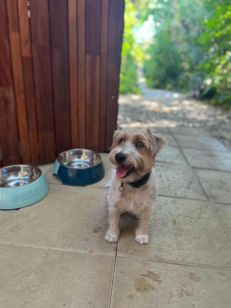 Tallow (adults Only) 3* Byron Bay