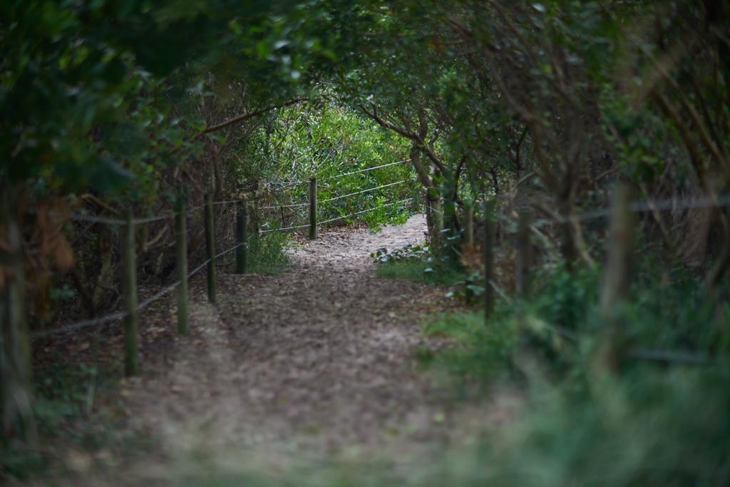 Campo de férias Ingenia Holidays