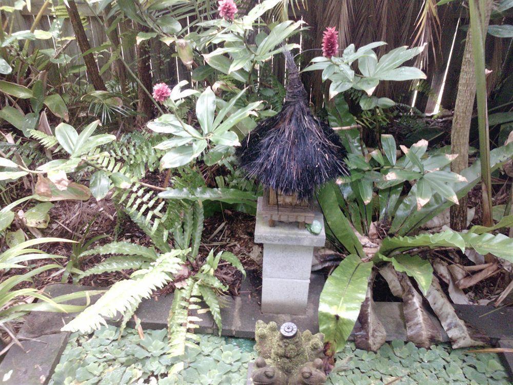 Bamboo Cottage Guesthouse B&B Byron Bay