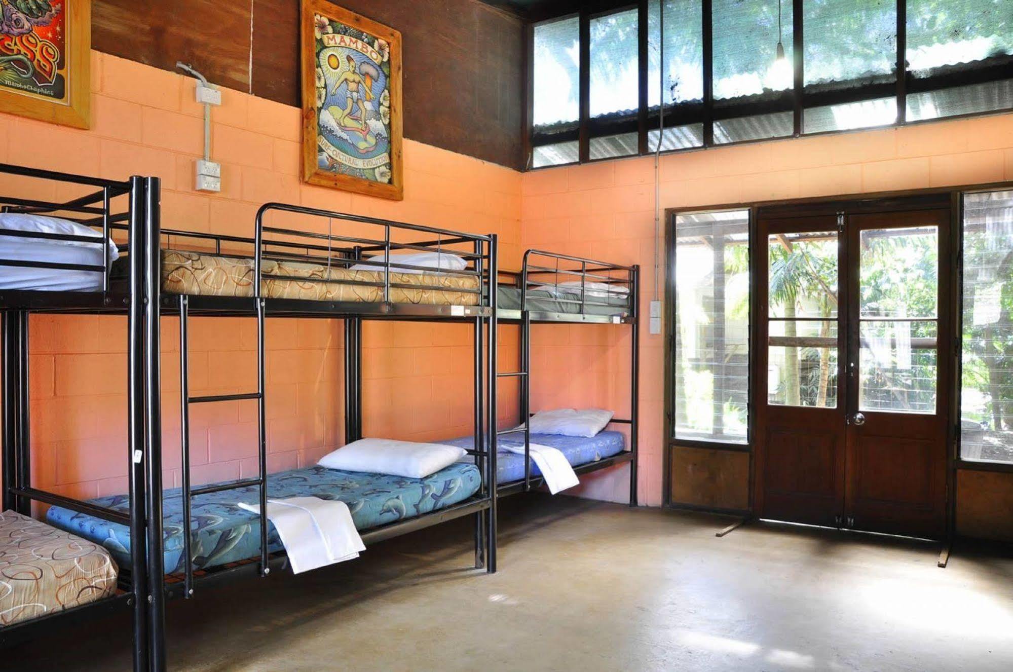 Arts Factory By Nomads (adults Only) Hostel Byron Bay