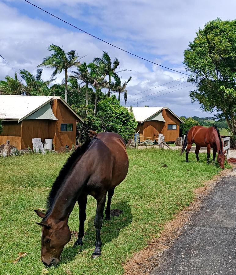 Farm stay Farm