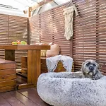 Shirley Beach House, Right In Heart Of Byron Bay, Walking Distance To Town And Most Famous Beaches