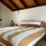 The Tree House Byron Bay