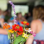 Byron Yoga Centre