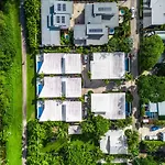 Fat Frog Beach Houses