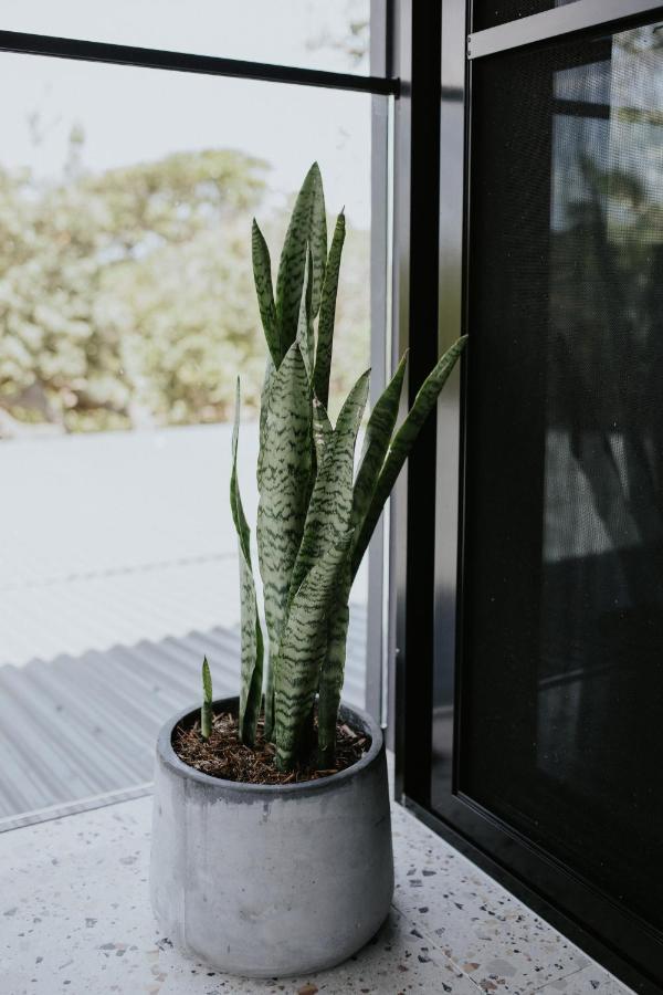 Ocean Apartment Byron Bay