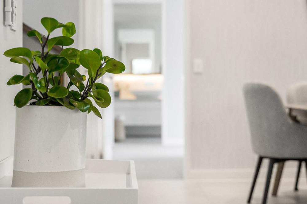 Cavvanbah Lane Holiday home Byron Bay