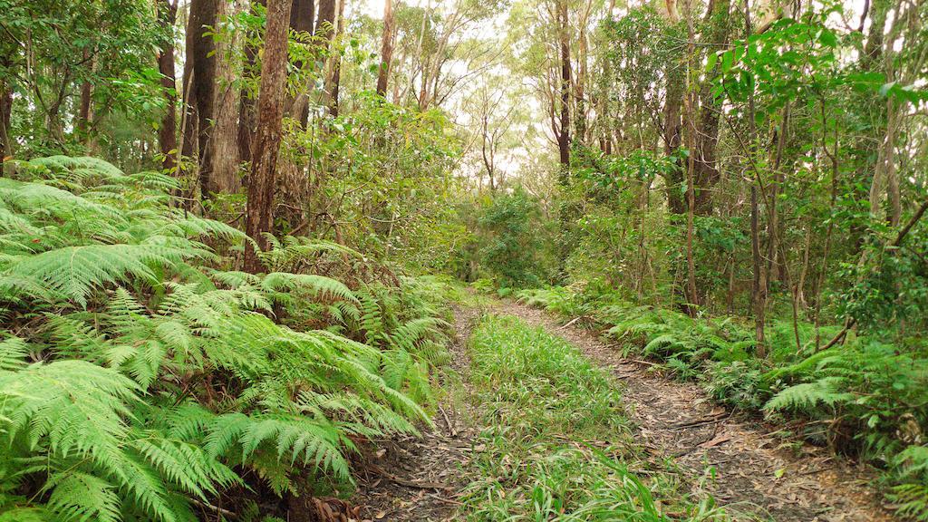 Bed & Breakfast Abelia House Byron Bay