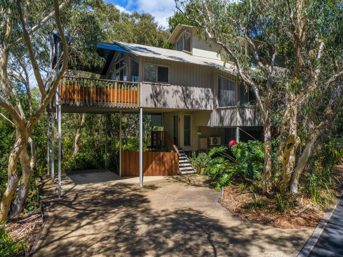 The Oasis And Treetop Byron Bay