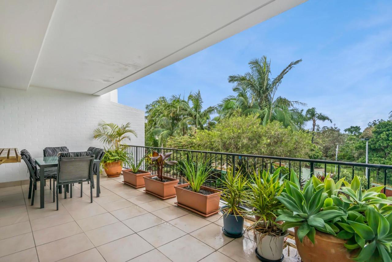 The Oasis And Treetop