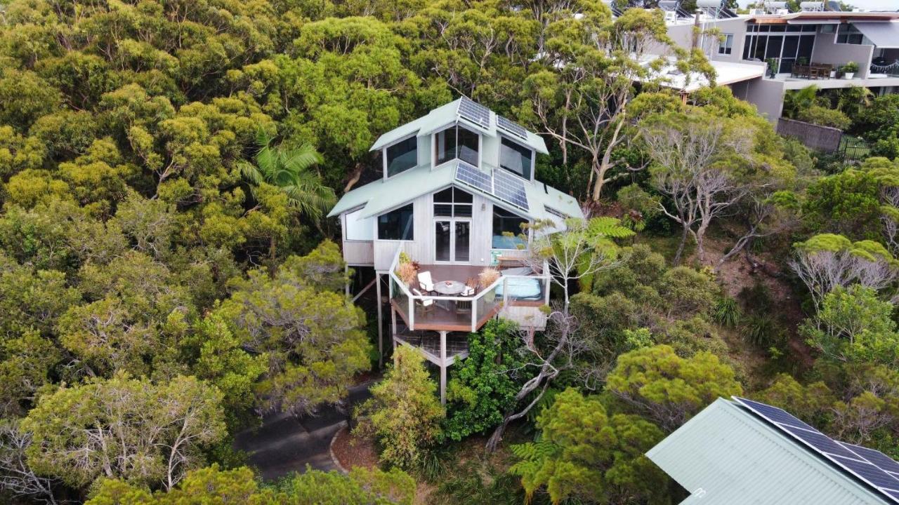 The Oasis And Treetop Aparthotel