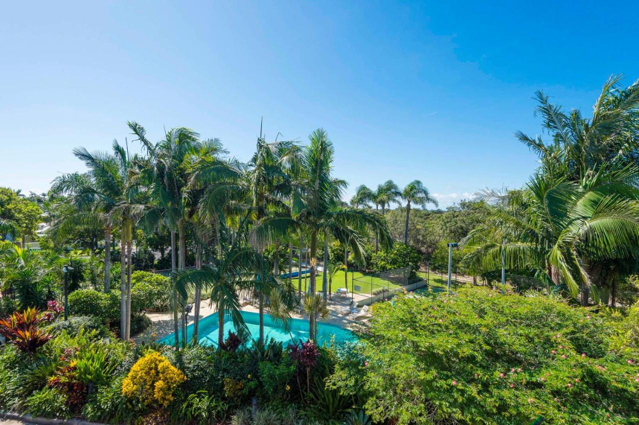 The Oasis And Treetop 3* Byron Bay