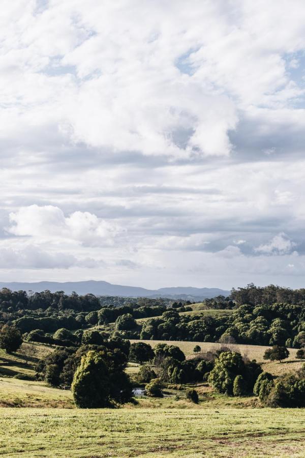 Lodge The Brooklet Byron Bay