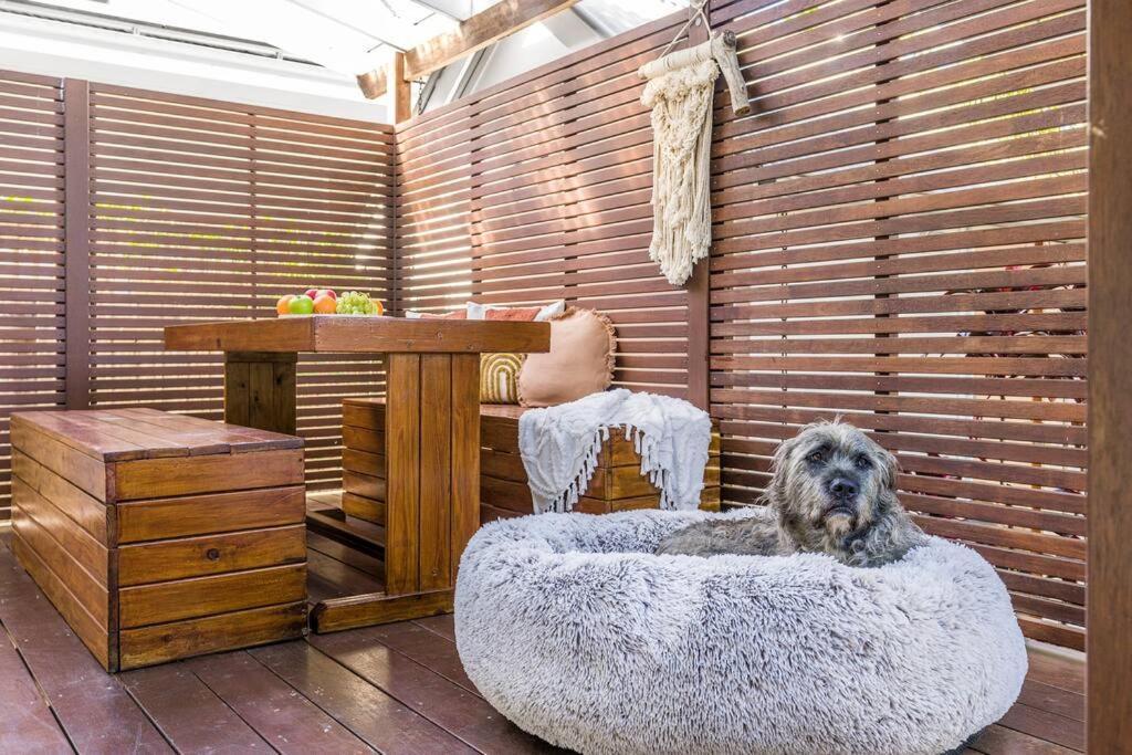 Shirley House: Byron Bay's Pet-friendly Coastal Retreat Holiday home Byron Bay