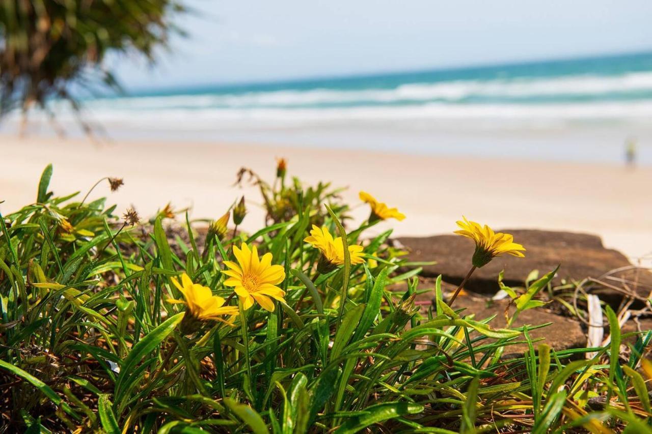 Fuller Holidays - Belongil Beachside