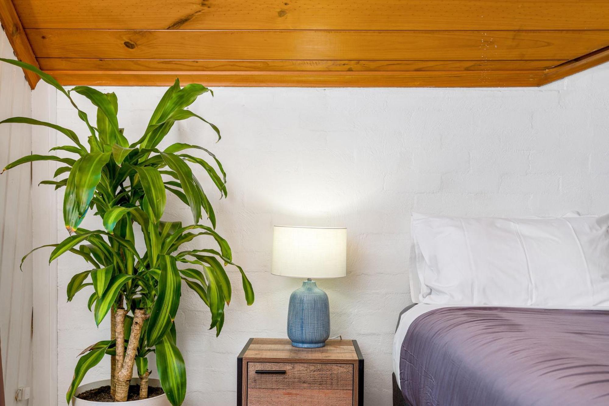 Aquarius Backpackers Hostel