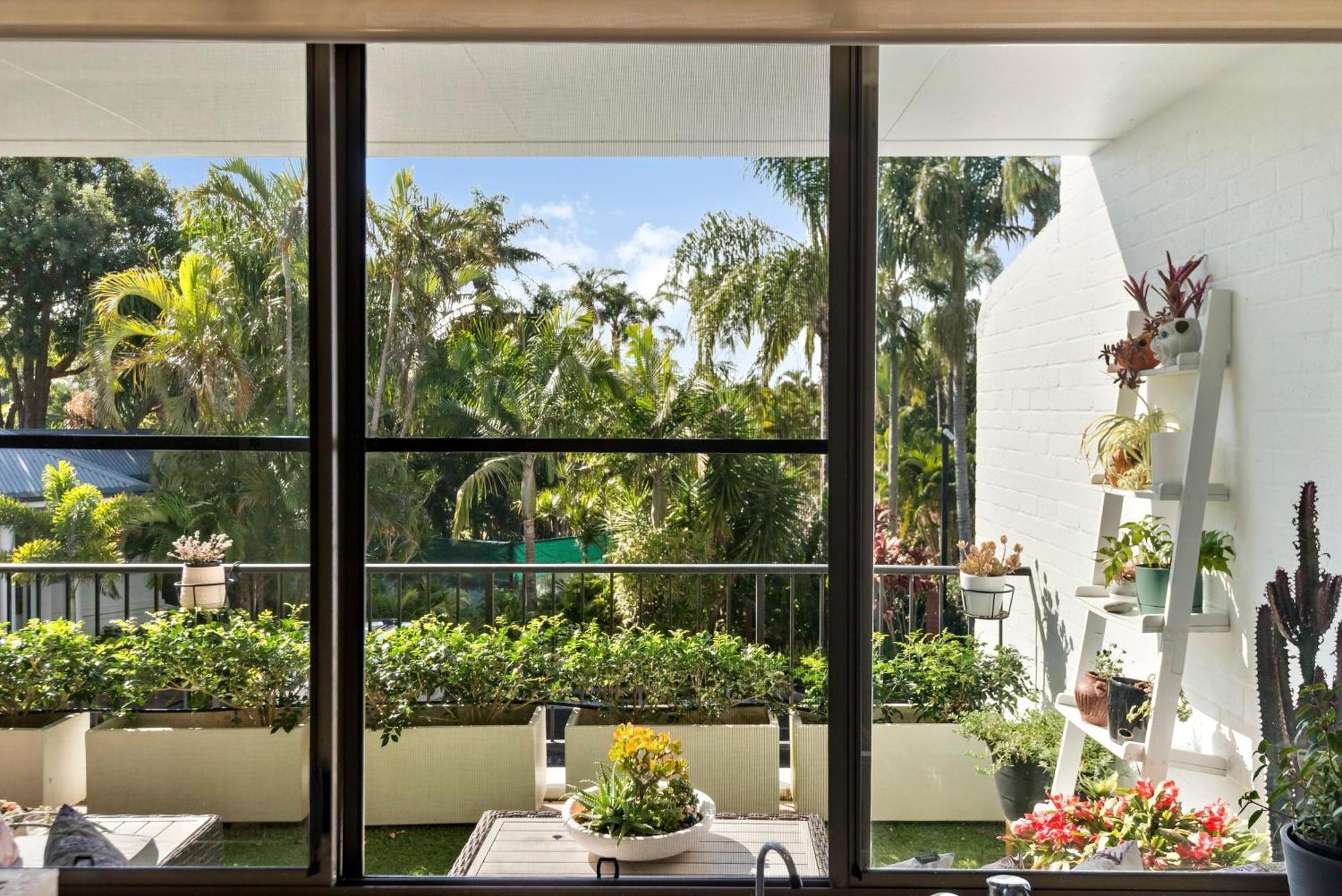 The Oasis And Treetop Byron Bay