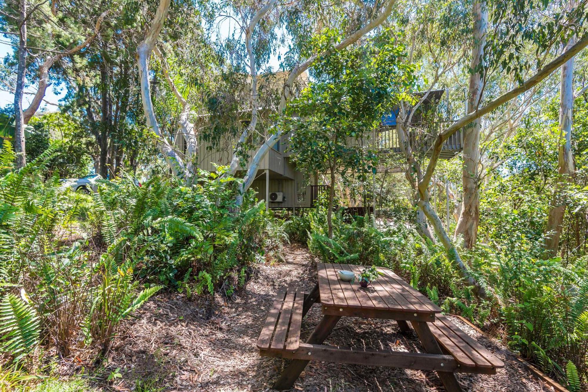 The Oasis And Treetop Aparthotel 3*