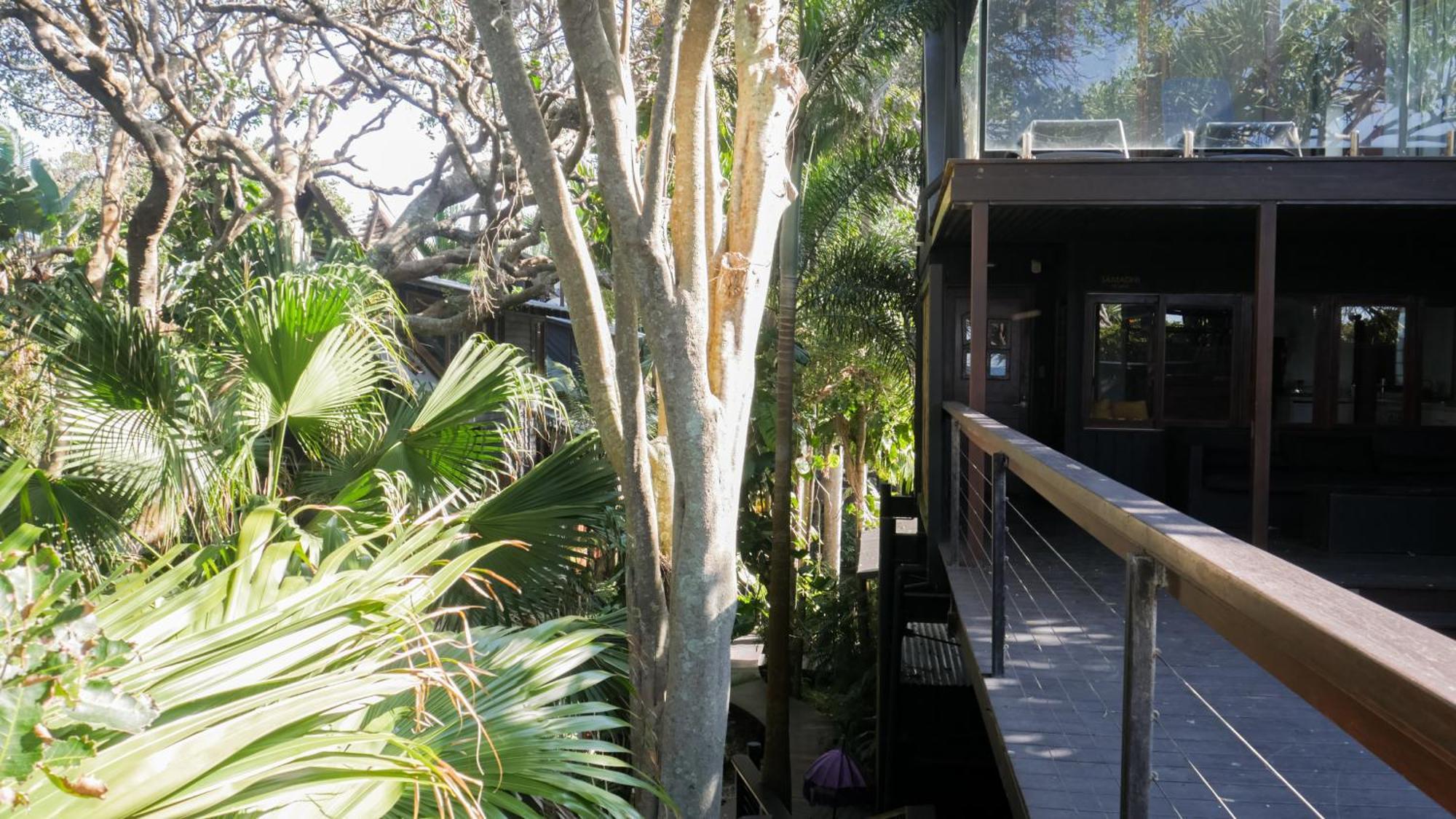 Shambhala @ Byron Byron Bay