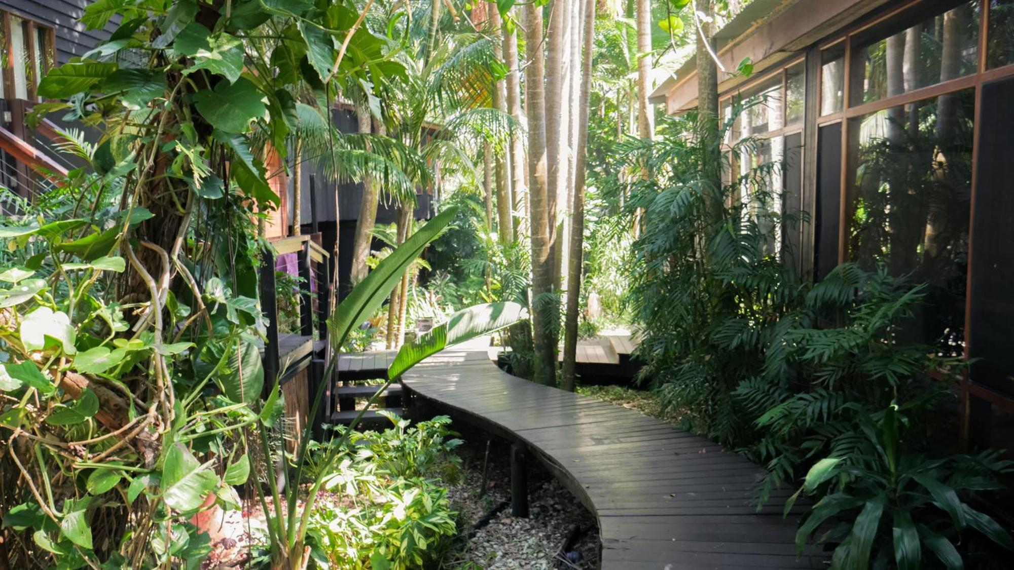 Shambhala @ Byron Byron Bay
