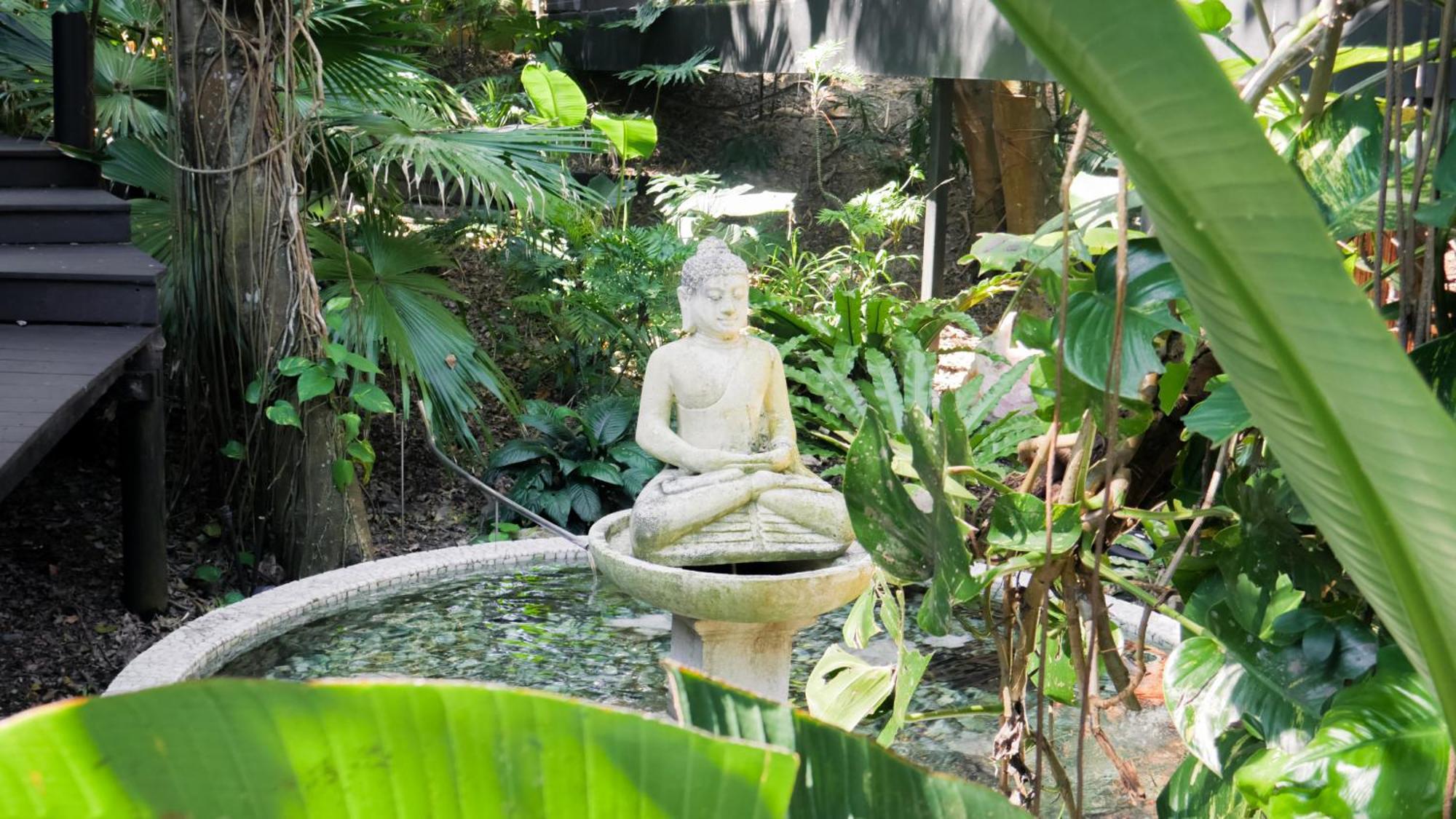 Resort Shambhala @ Byron