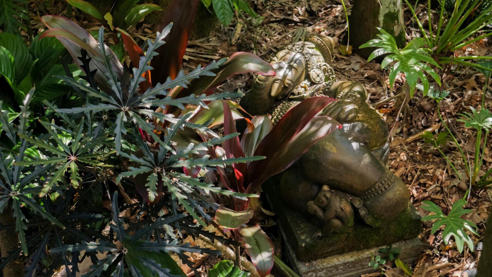 Resort Shambhala @ Byron Byron Bay