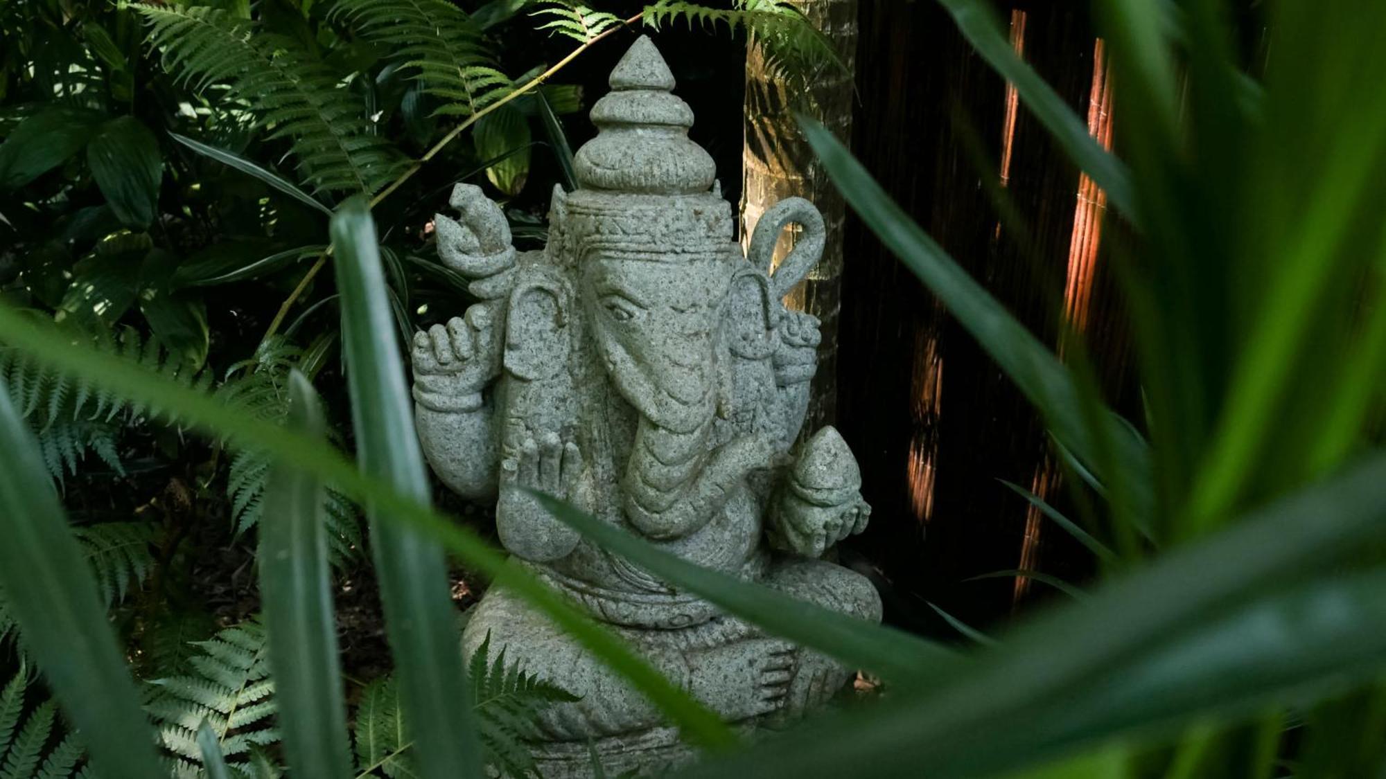 Shambhala @ Byron 5* Byron Bay