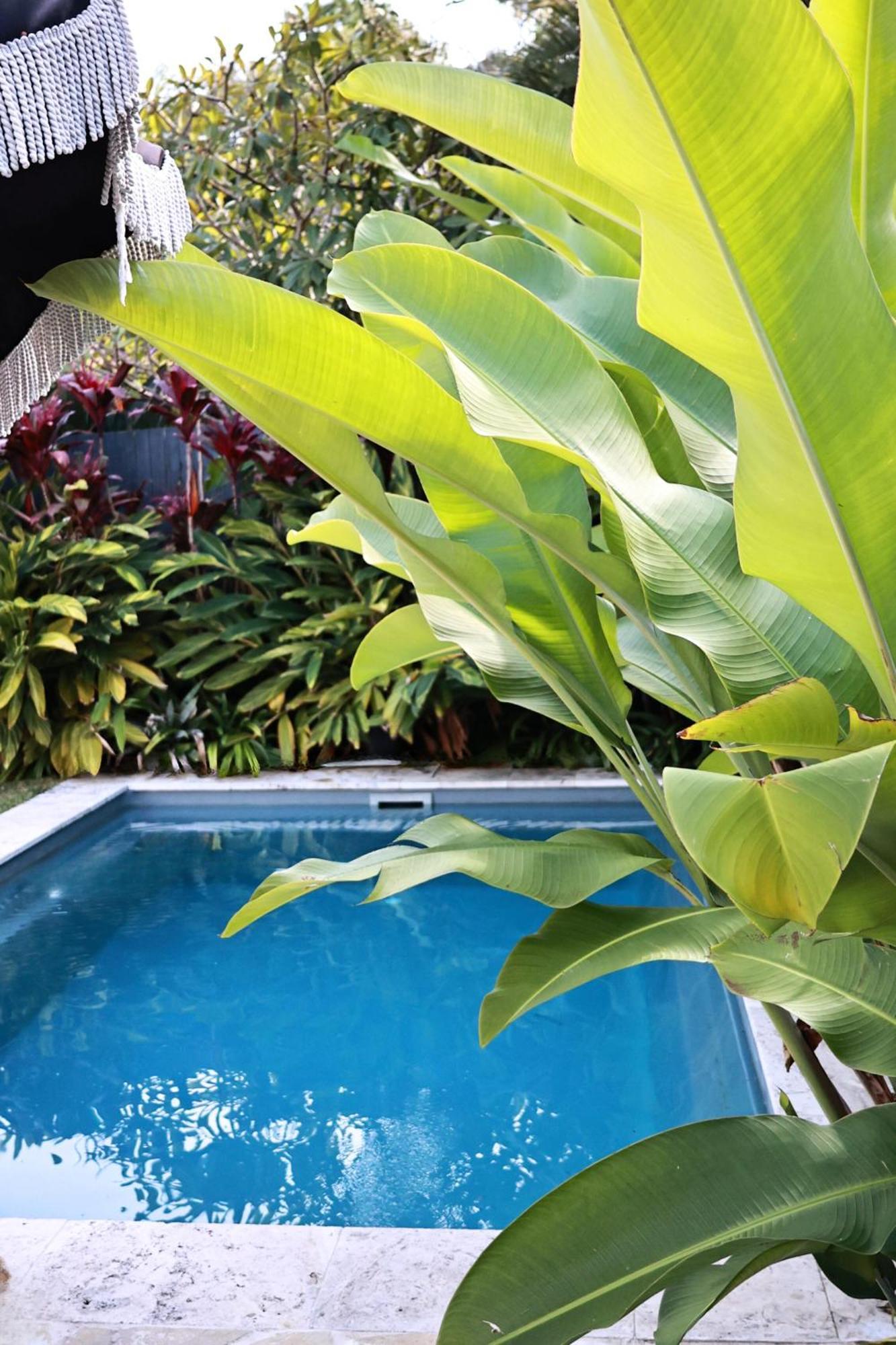 House * Byron Bay