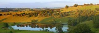 Farm *