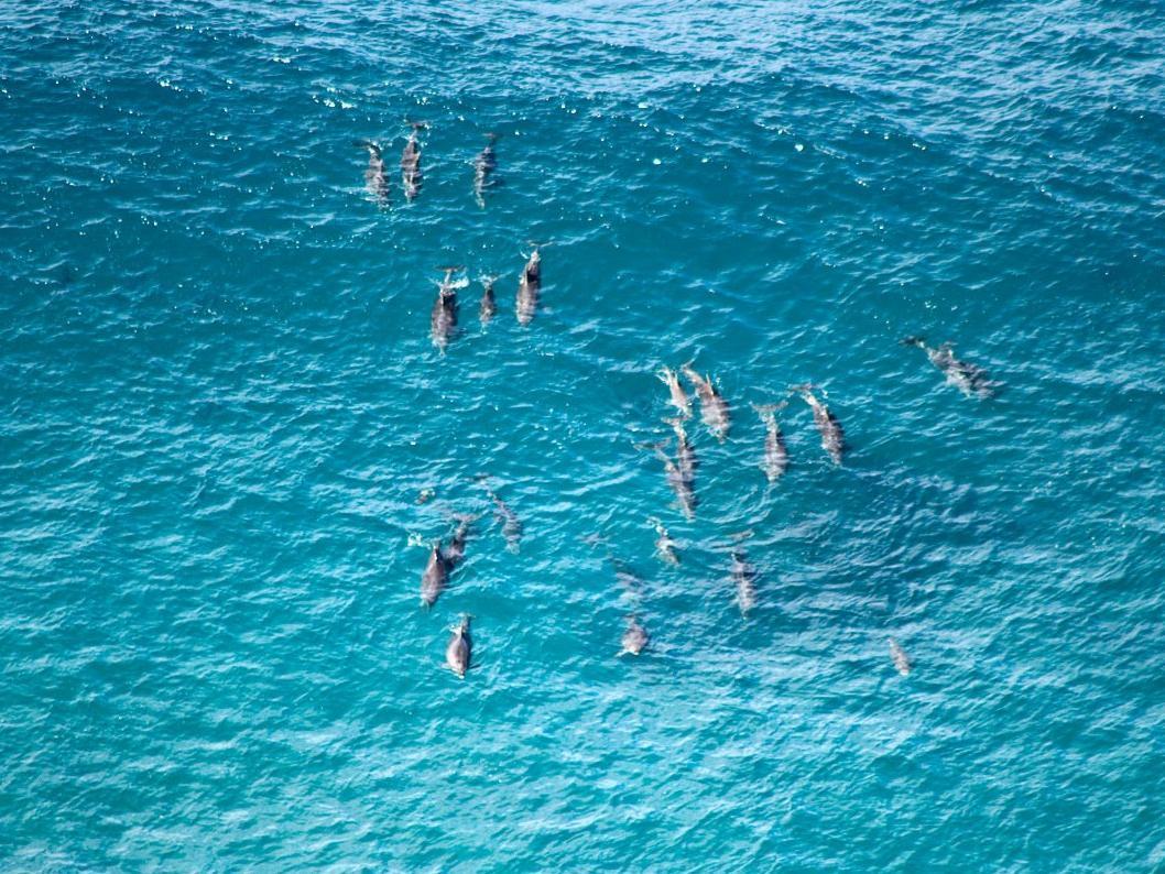 A Perfect - Allure Holiday home Byron Bay