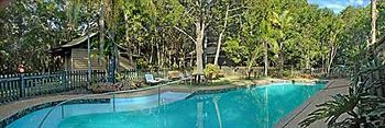 Rainforest Byron Bay