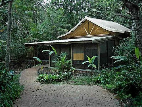 Rainforest 3*