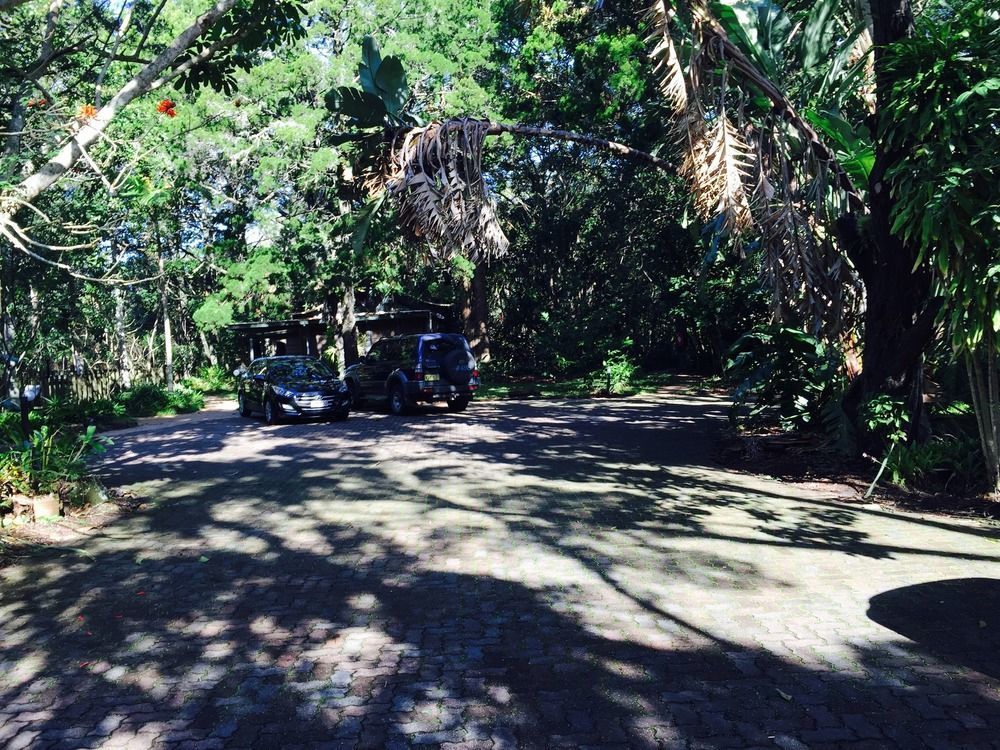 Rainforest Resort Byron Bay