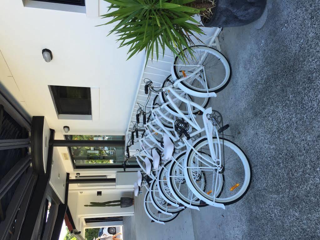 Dolphins Motor Byron Bay