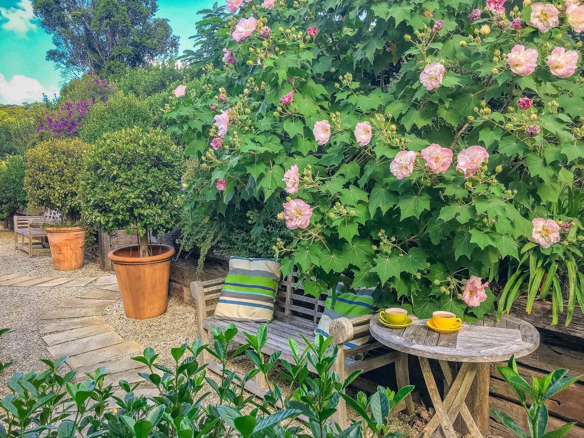 Abelia House Bed & Breakfast