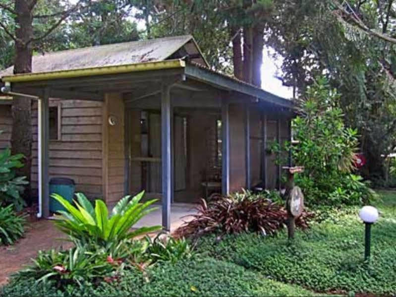 Rainforest Byron Bay
