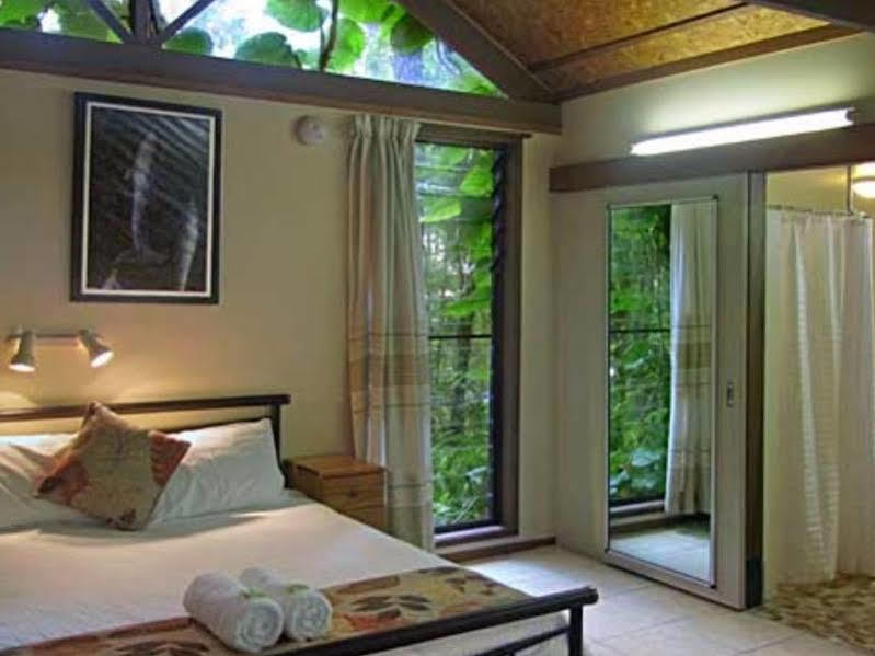Rainforest Byron Bay