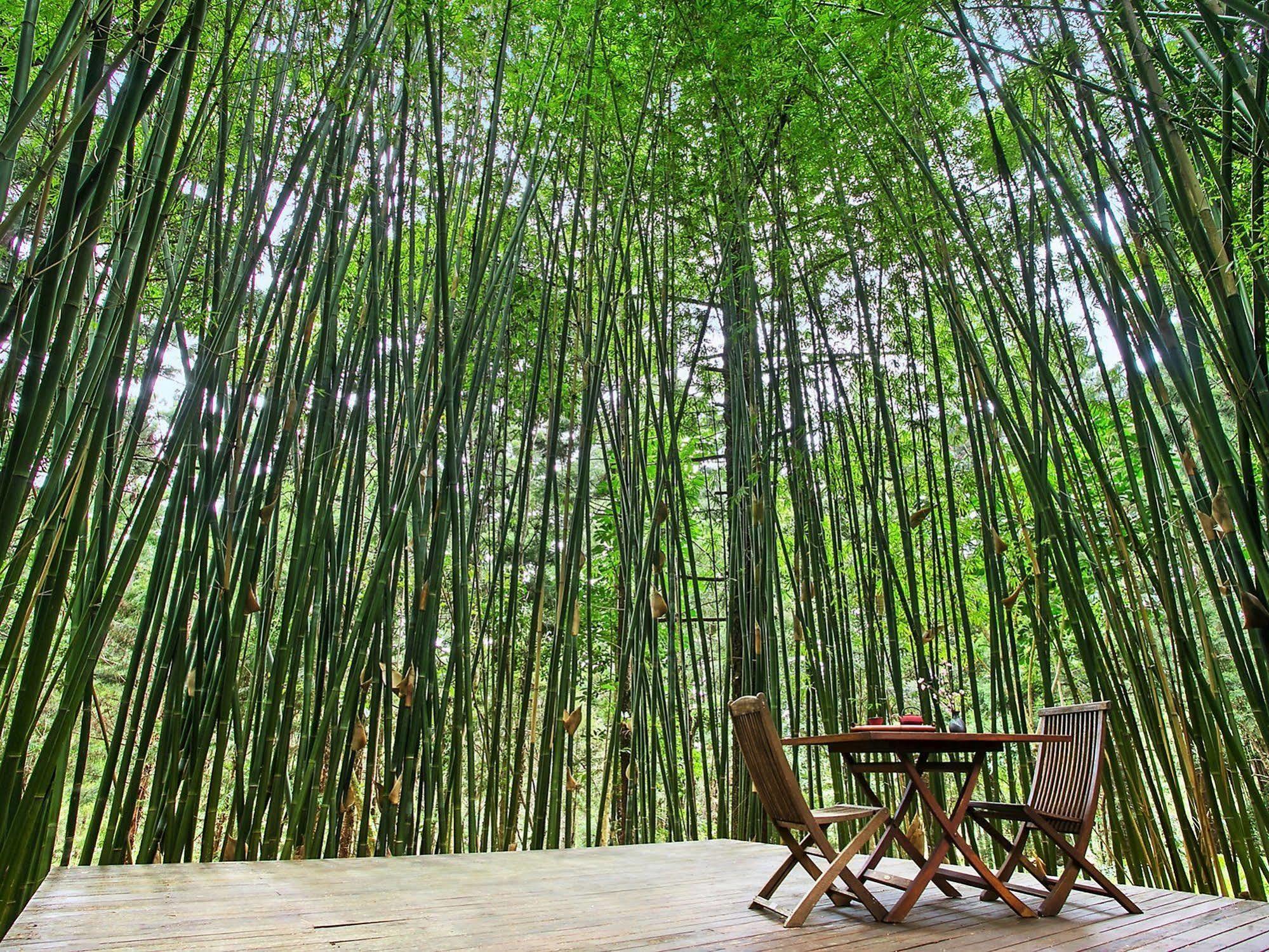 Guest house Azabu Retreat & Byron Bay