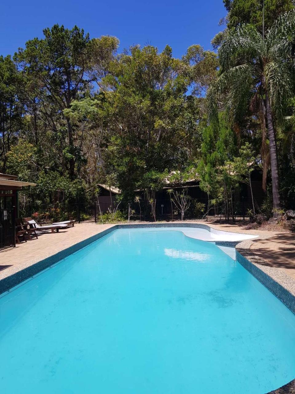 Rainforest Resort