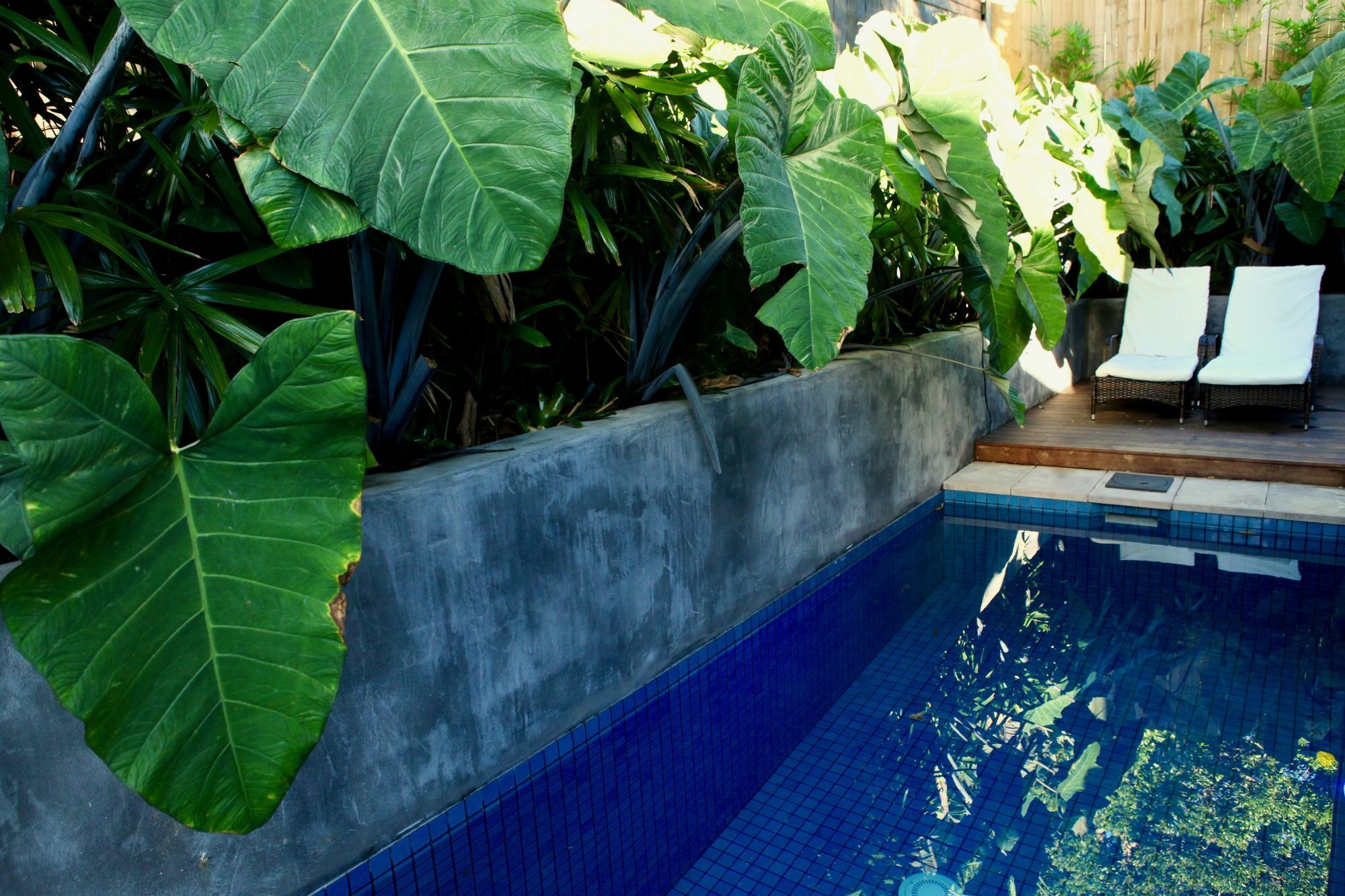 Luxury Artist Architect Retreat Villa Byron Bay