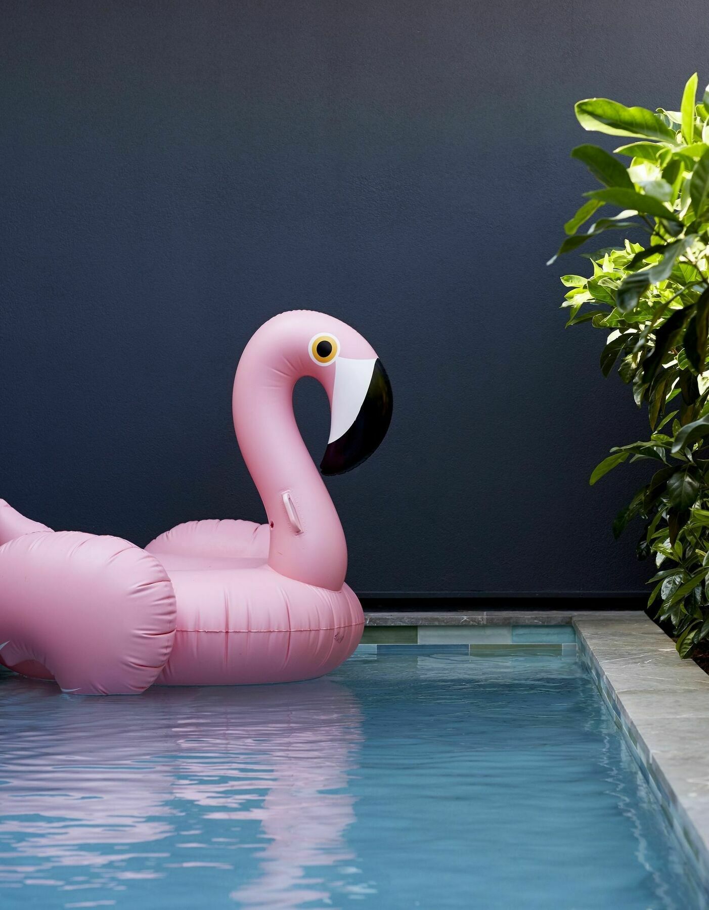 28 Degrees - Adults Only 5* Byron Bay