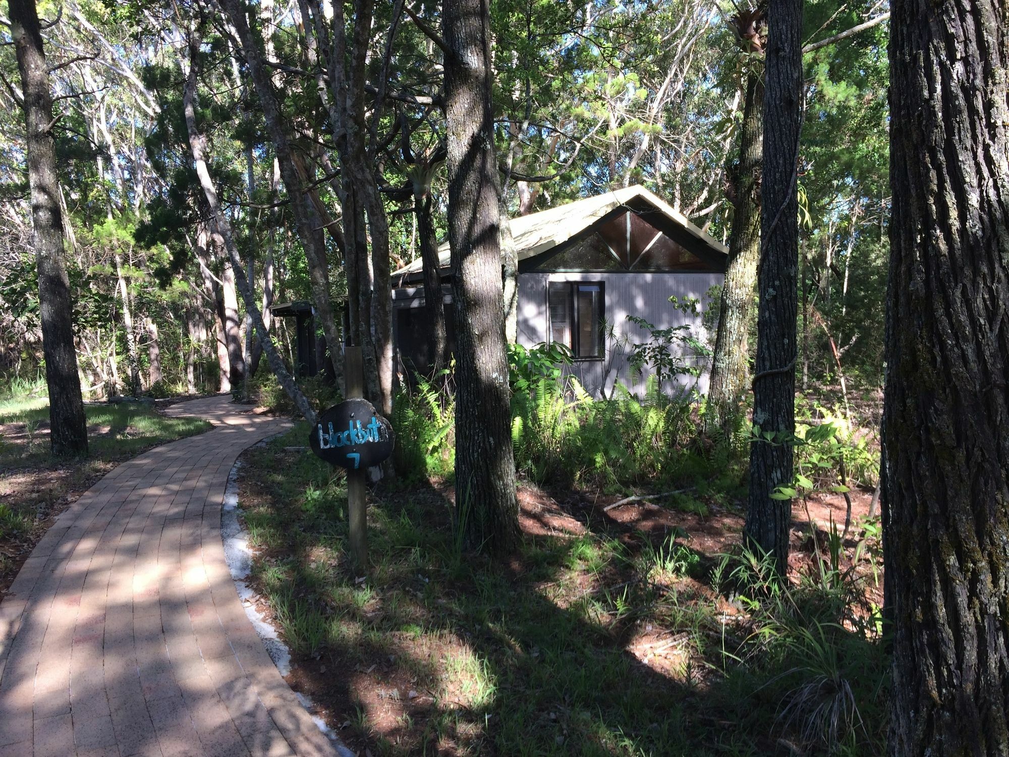 Rainforest 3* Byron Bay